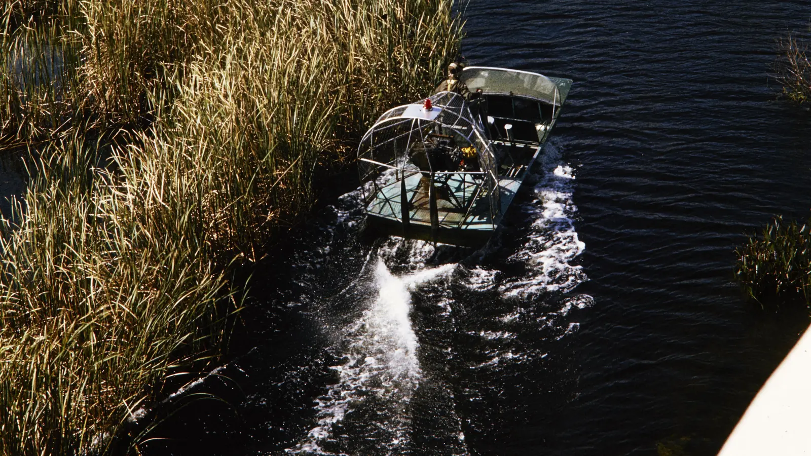 Guardabosques conduce un hidrodeslizador entre los humedales de los Everglades